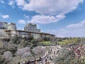 NYC casino proposal location