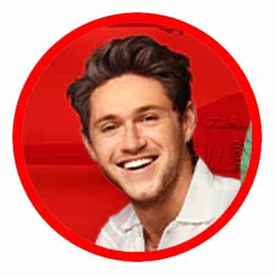 the Voice - Niall