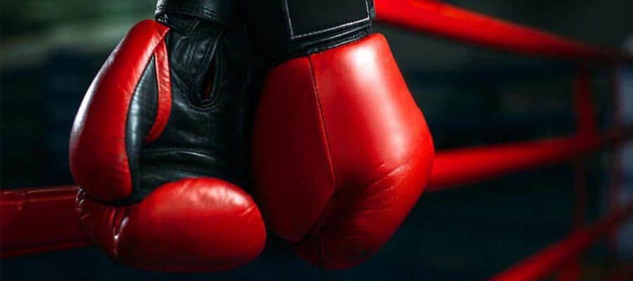 boxing-gloves Boxing Gloves