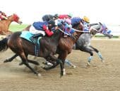 Colorado unsanctioned horse racing