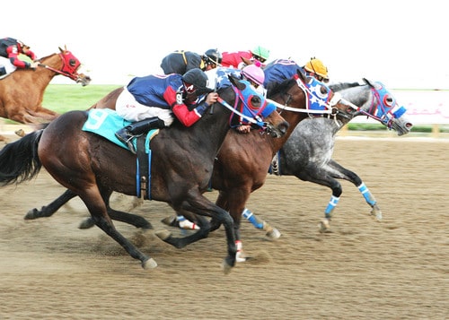 Colorado unsanctioned horse racing