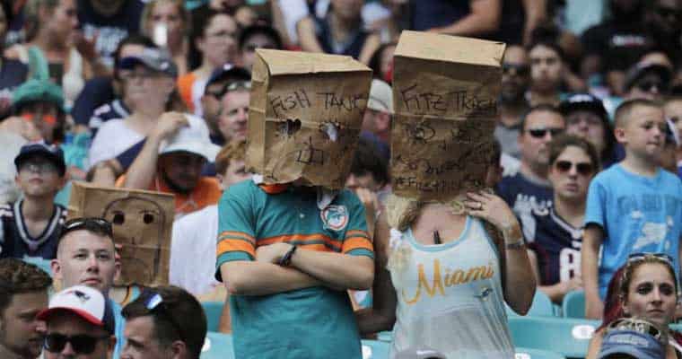 dolphin-fans