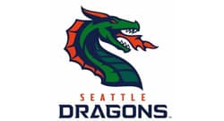 dragons dragons