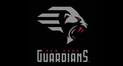 guardians guardians