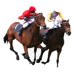 two horses racing icon