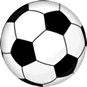 Soccer Ball