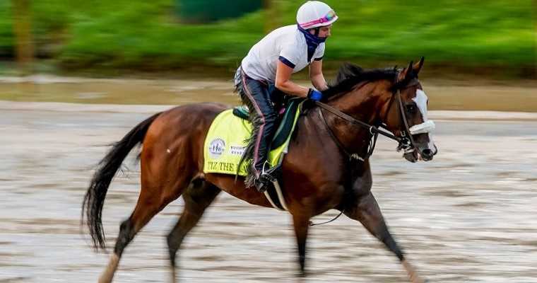 tiz the law training in sloppy conditions