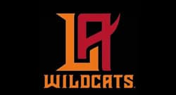 wildcats wildcats
